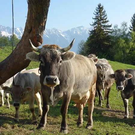 Sattlerhof Lägenhet Mutters