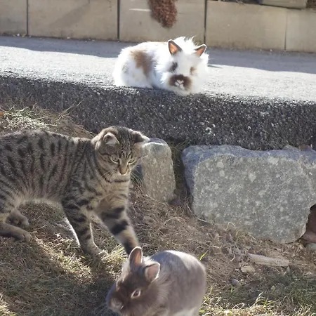 Apartamento Sattlerhof