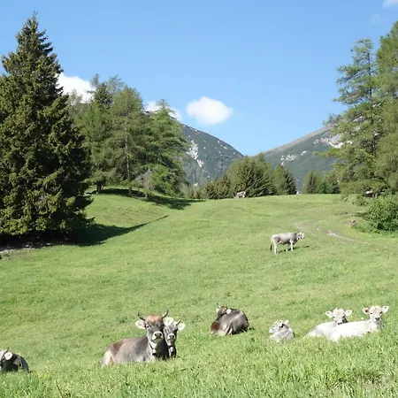 Apartamento Sattlerhof Mutters