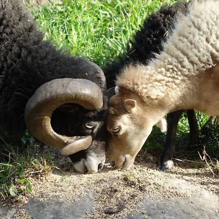 Sattlerhof * Mutters