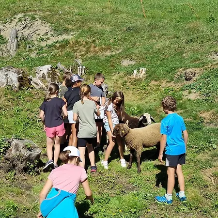 Sattlerhof * Mutters