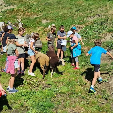 Sattlerhof * Mutters